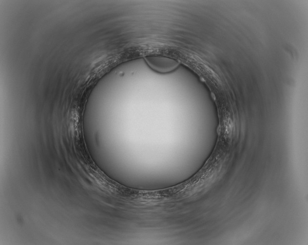 X0000112470964200908311347