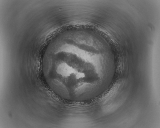 X0000112470966200908311347