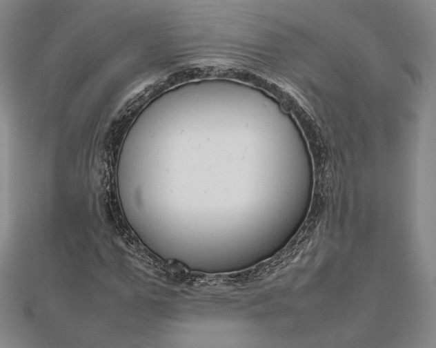 X0000112470967200908311347