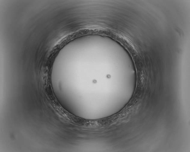 X0000112470968200908311347