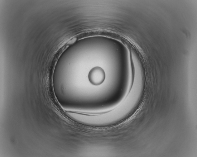 X0000112470969200908311347