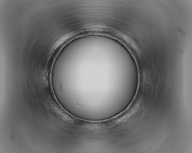 X0000112470970200908311346