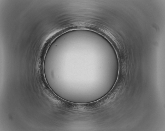 X0000112470971200908311346