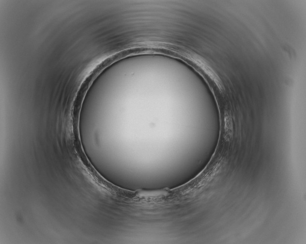 X0000112470972200908311346