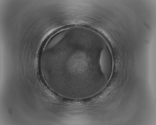 X0000112470975200908311346