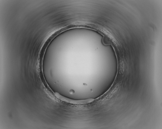 X0000112470976200908311346