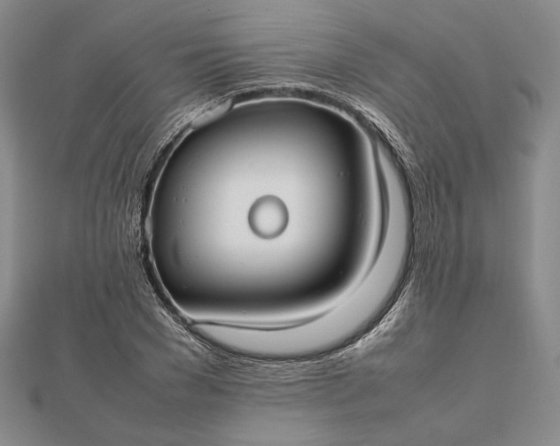 X0000112470977200908311346