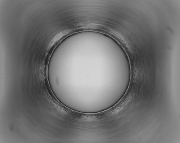 X0000112470978200908311346