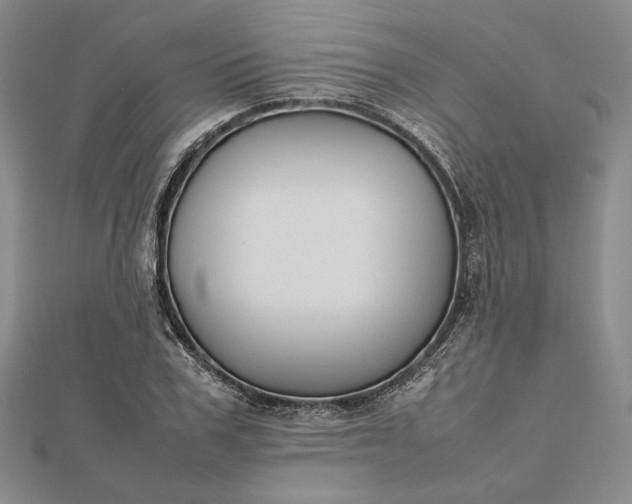 X0000112470979200908311346