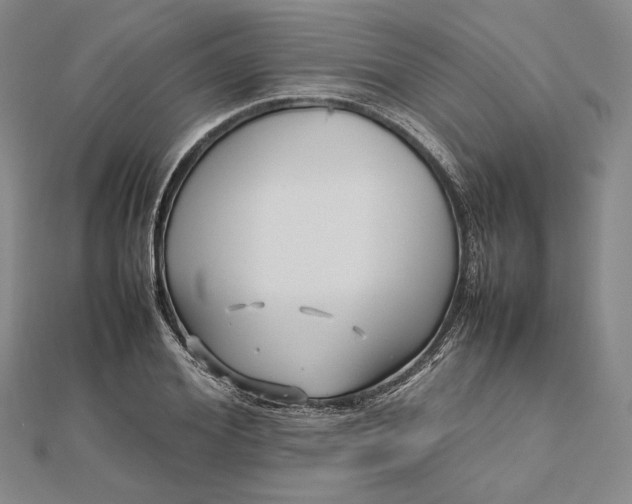 X0000112470980200908311346