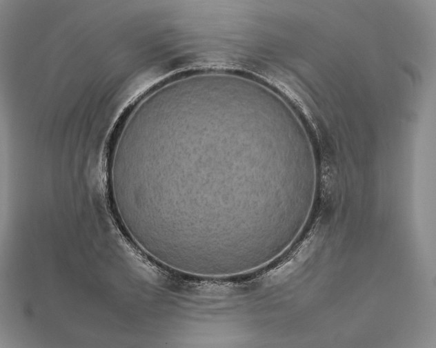 X0000112470981200908311346