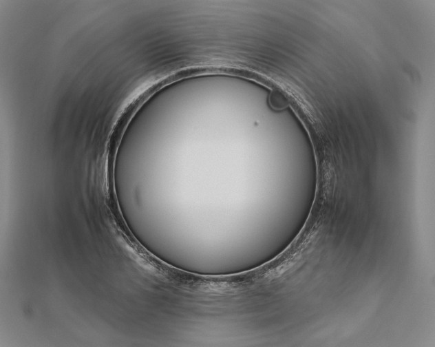 X0000112470982200908311346