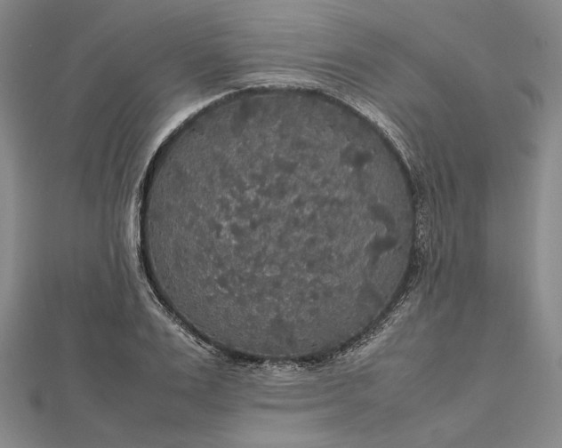 X0000112470983200908311346