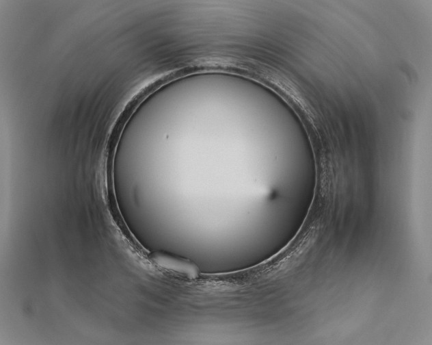 X0000112470984200908311346