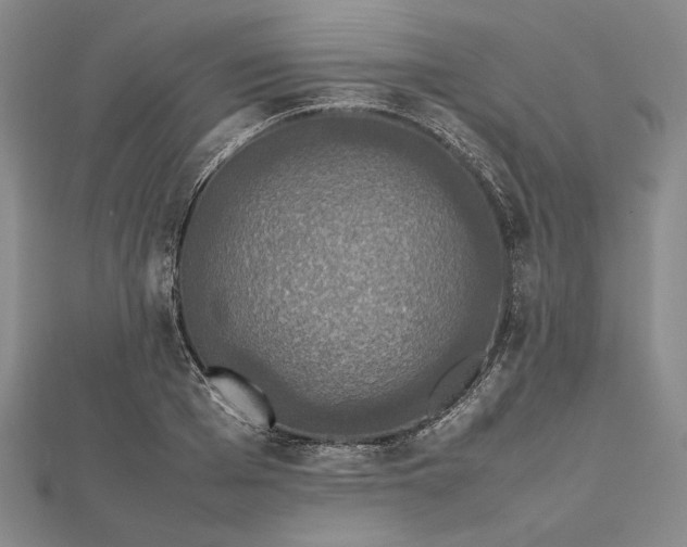 X0000112470985200908311346