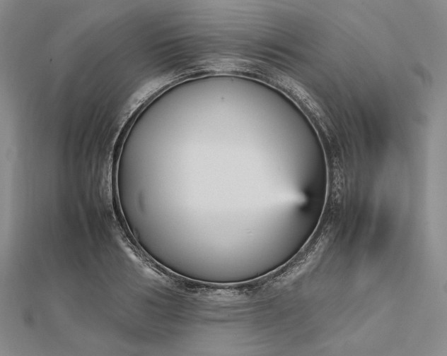 X0000112470986200908311346