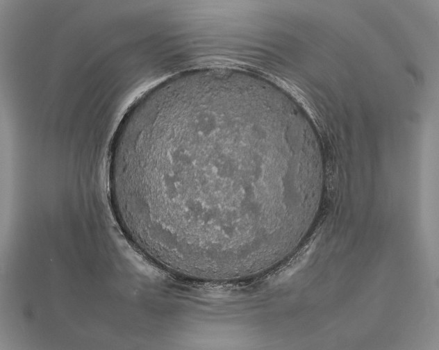 X0000112470987200908311346