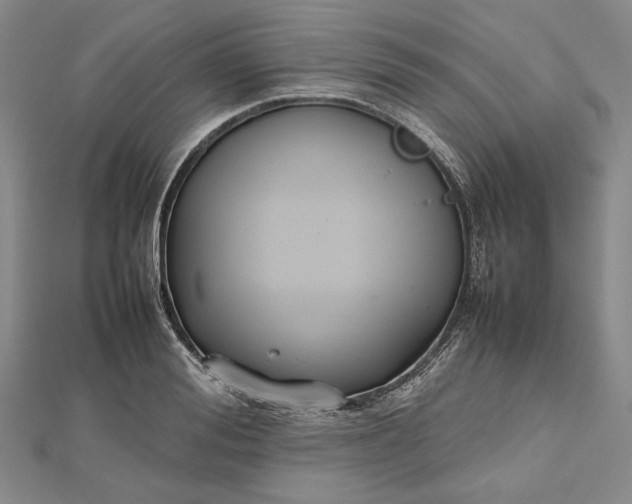 X0000112470988200908311346