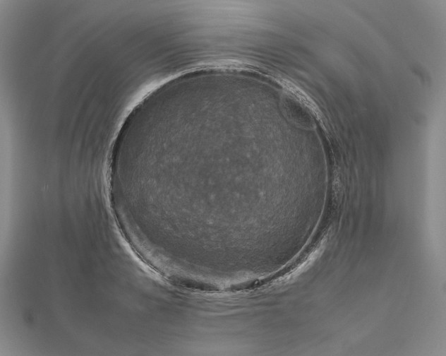 X0000112470989200908311346