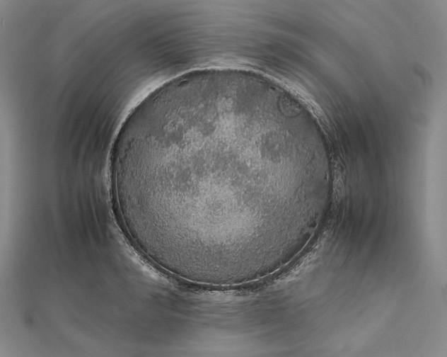 X0000112470990200908311346