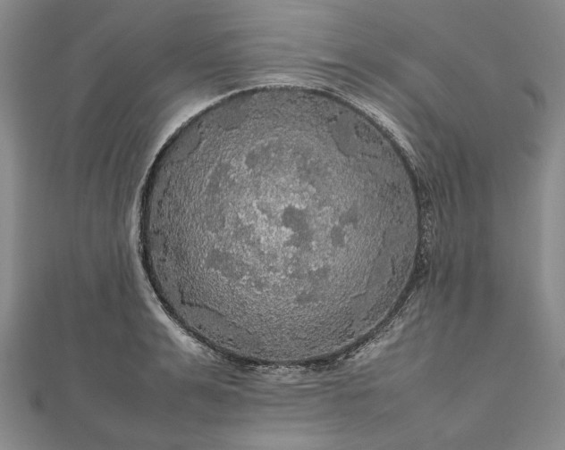 X0000112470991200908311346