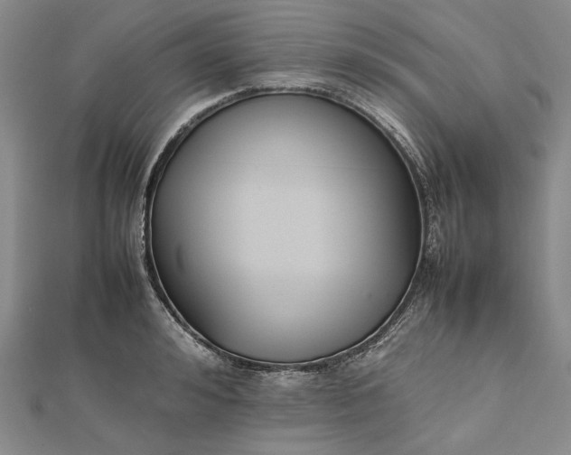 X0000112470992200908311346