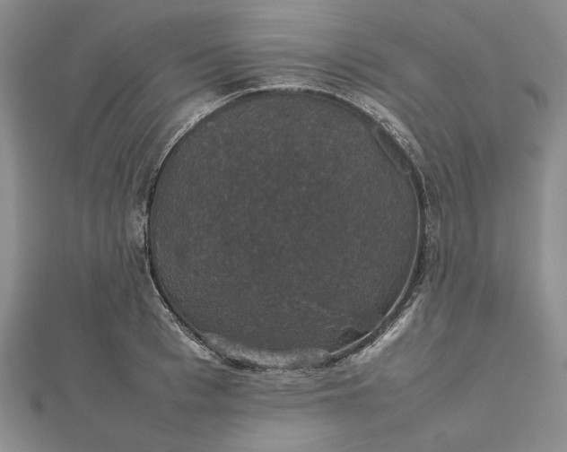 X0000112470993200908311346