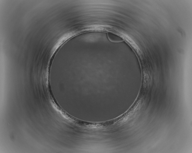 X0000112470994200908311346