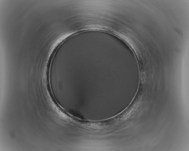 X0000112470995200908311346