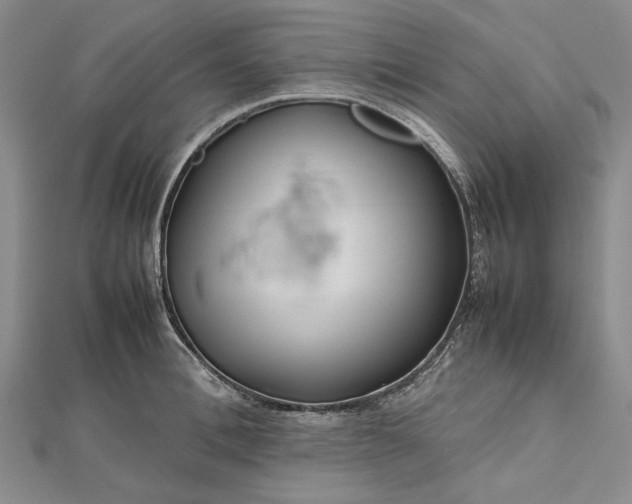 X0000112470996200908311346