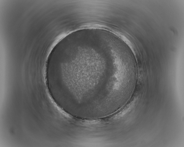 X0000112470997200908311346