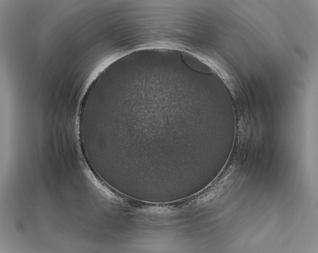 X0000112470998200908311346