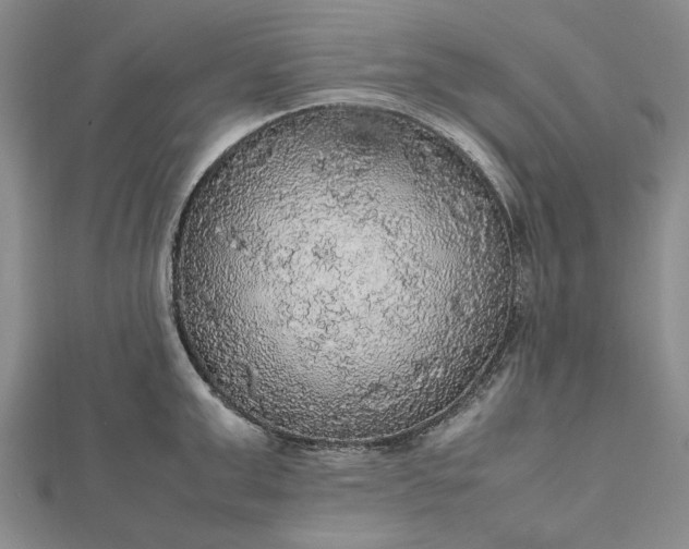 X0000112470999200908311346