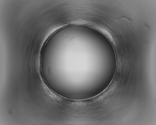 X0000112471000200908311346