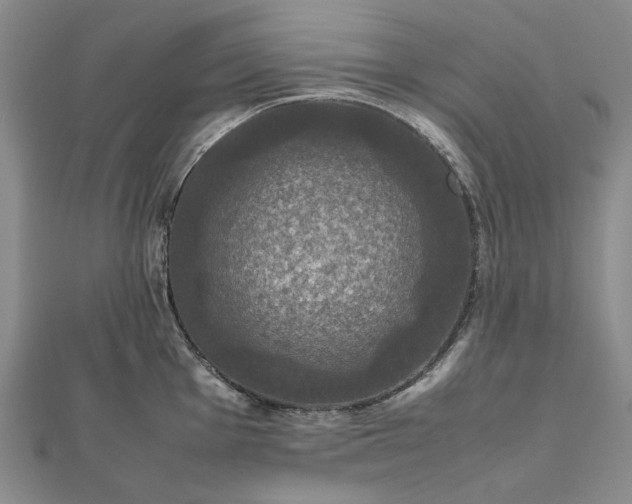 X0000112471001200908311346