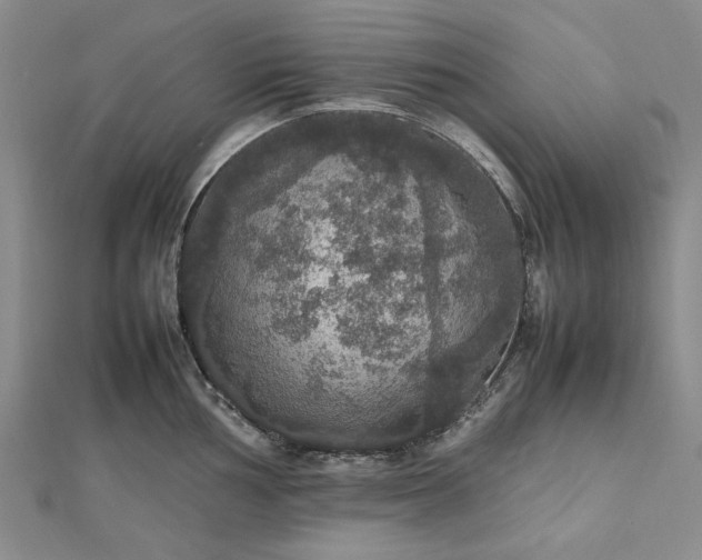 X0000112471002200908311346