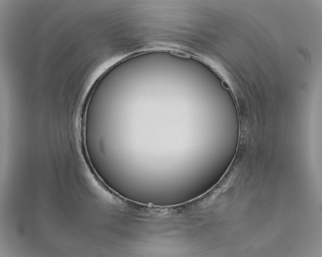 X0000112471003200908311346