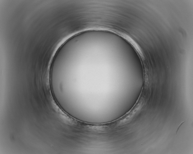 X0000112471004200908311346