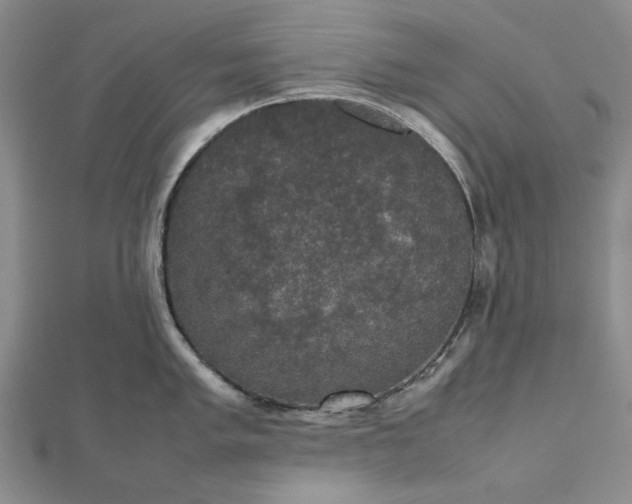 X0000112471005200908311346