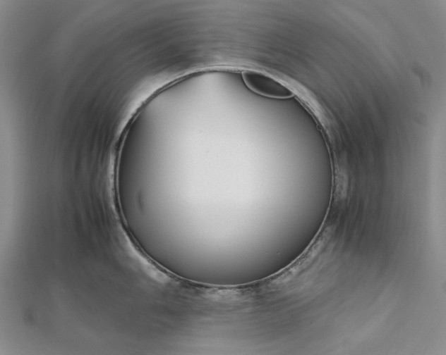 X0000112471006200908311346