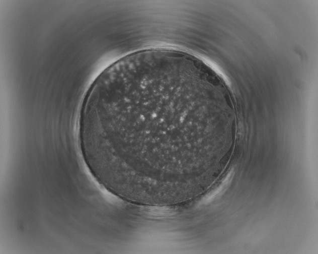 X0000112471007200908311346