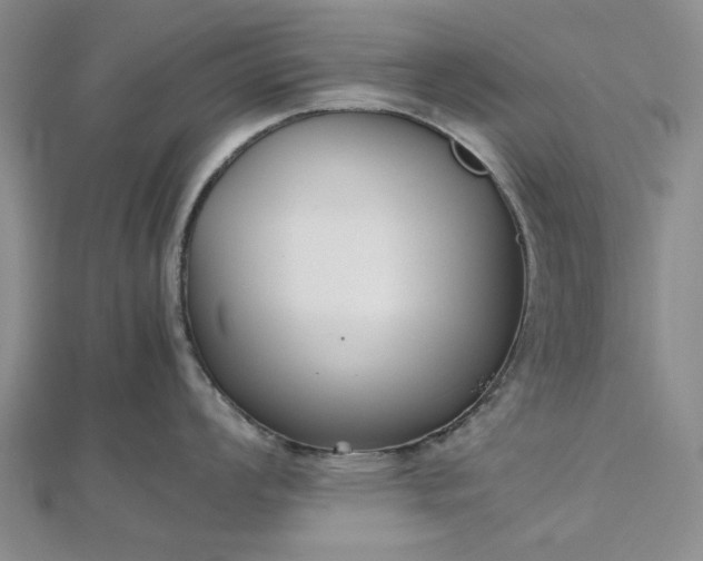 X0000112471008200908311346