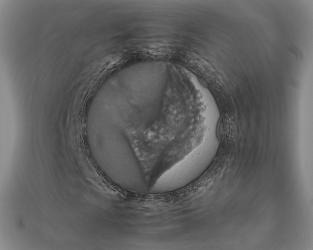 X0000112471009200908311345