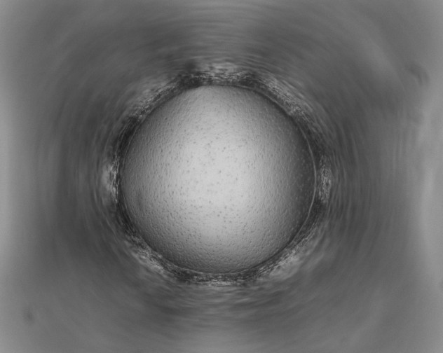 X0000112471010200908311345