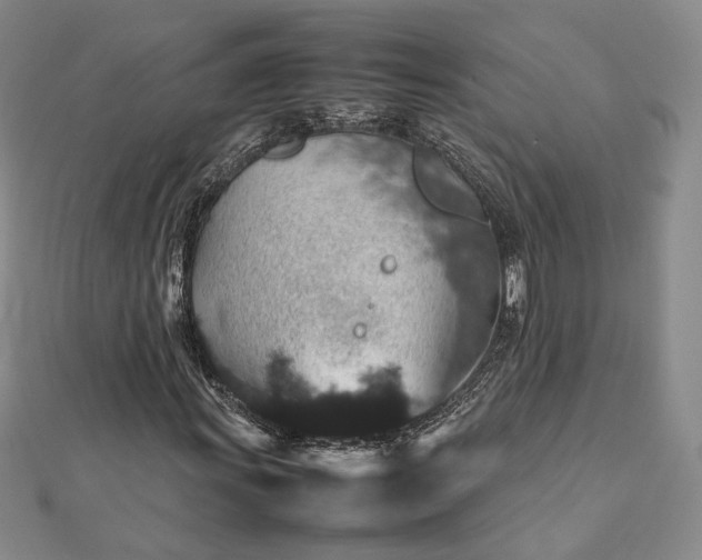 X0000112471011200908311345