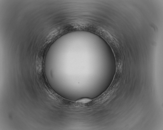 X0000112471012200908311345