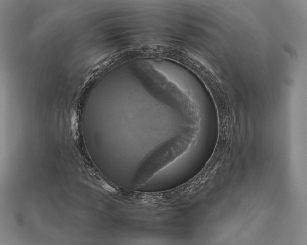 X0000112471013200908311345