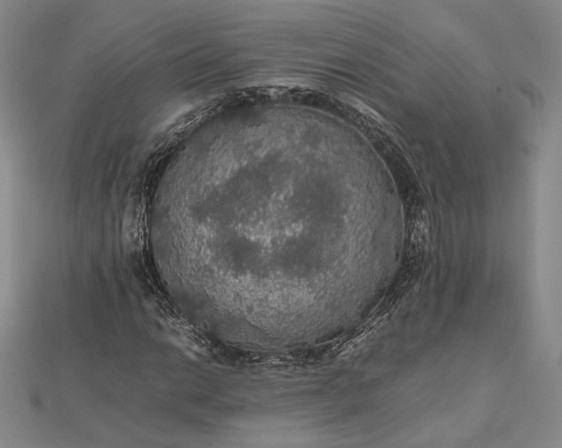 X0000112471014200908311345