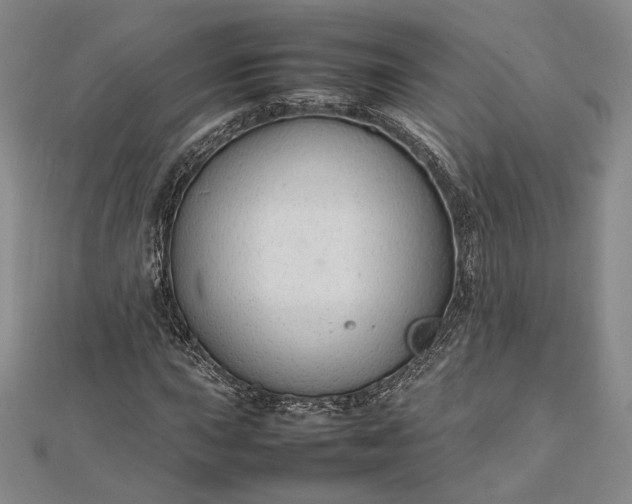 X0000112471015200908311345