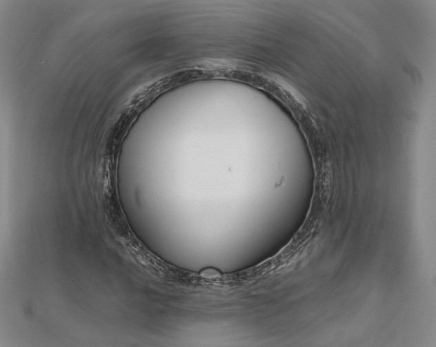 X0000112471016200908311345